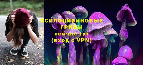первитин Мегион