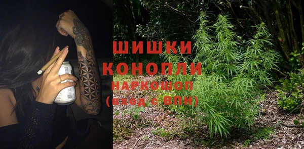 гидропоника Бородино