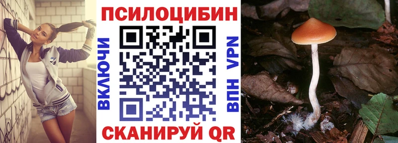 Псилоцибиновые грибы Cubensis  где купить наркоту  Магадан 