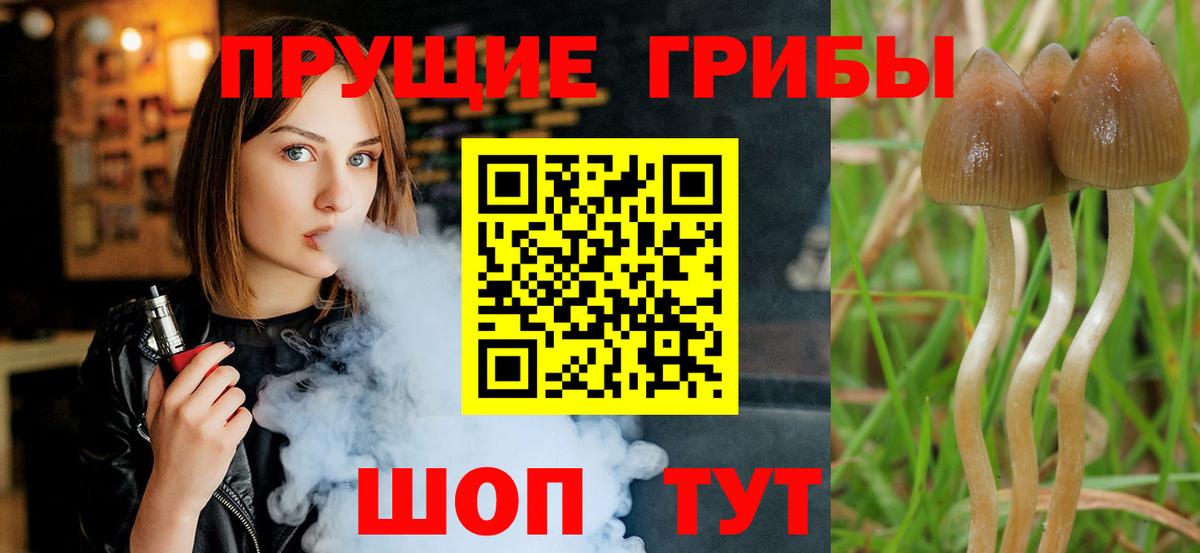 Галлюциногенные грибы мухоморы Магадан