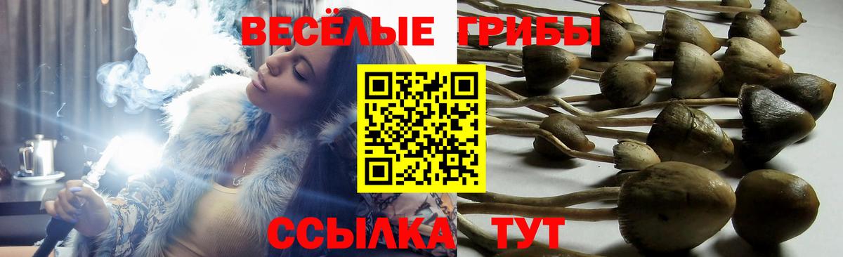 Псилоцибиновые грибы MAGIC MUSHROOMS  Псилоцибиновые грибы мухоморы  Магадан 